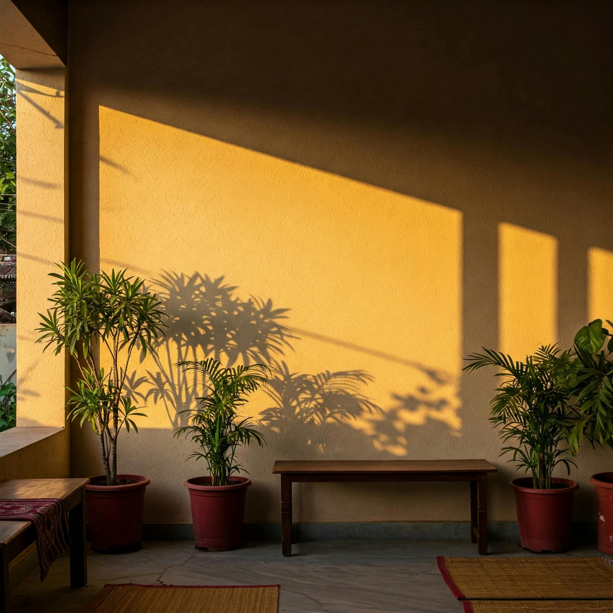 200-Hour Hatha & Ashtanga Yoga Teacher Training photo 1